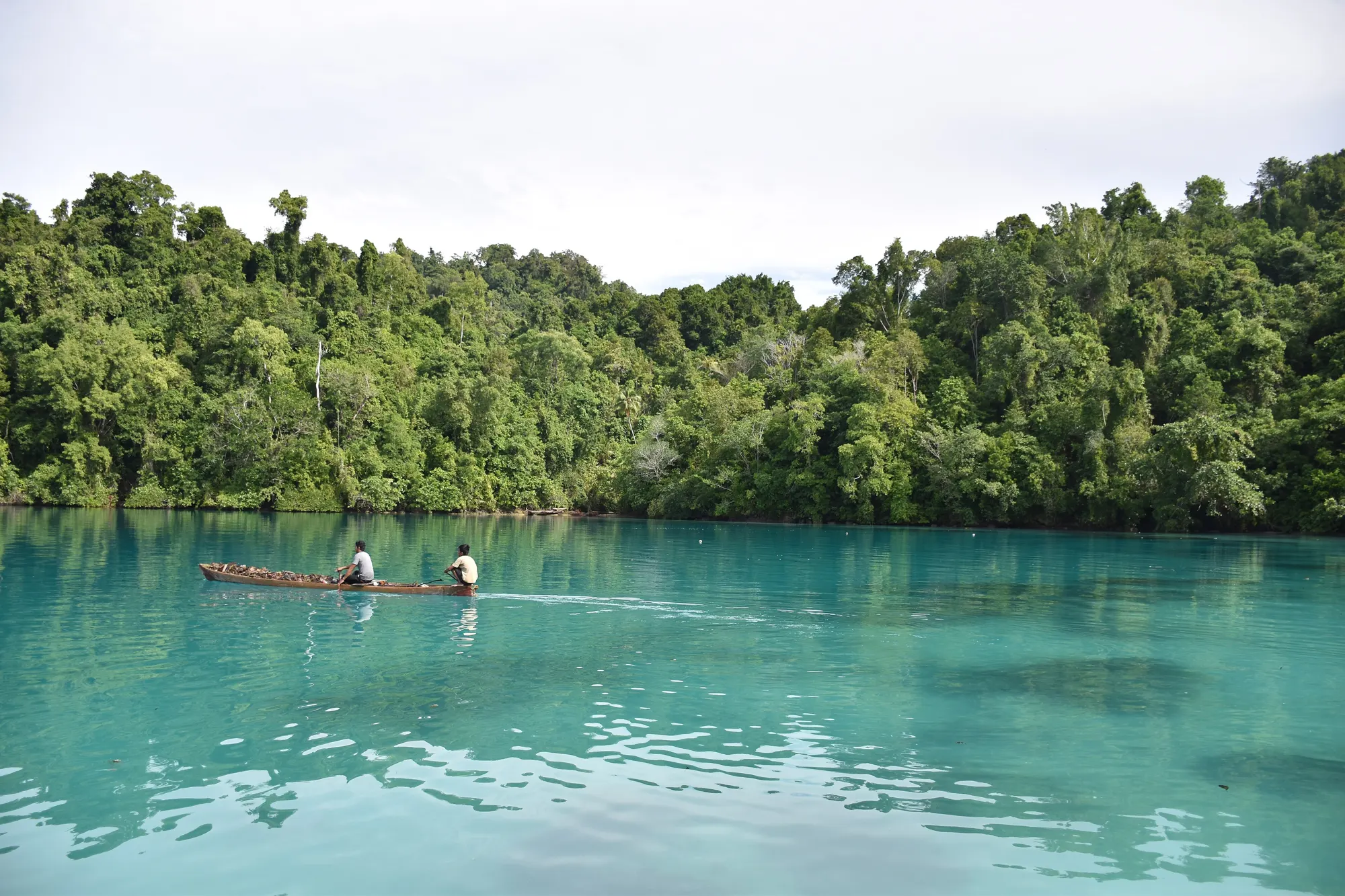 Turquoise lagoon and forest in eastern Indonesia